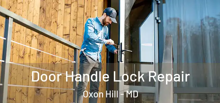 Door Handle Lock Repair Oxon Hill - MD
