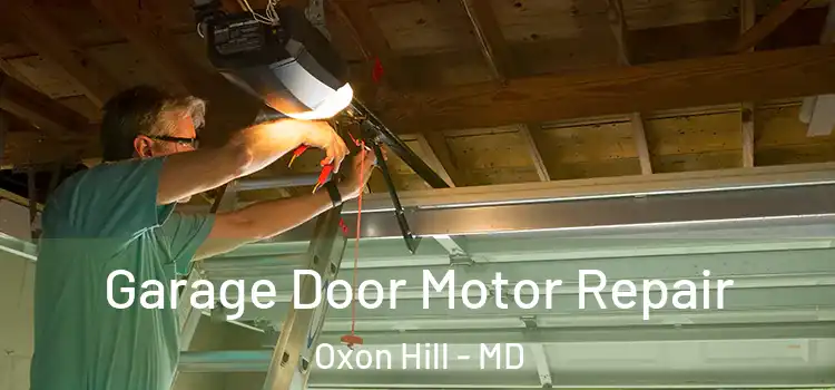  Garage Door Motor Repair Oxon Hill - MD