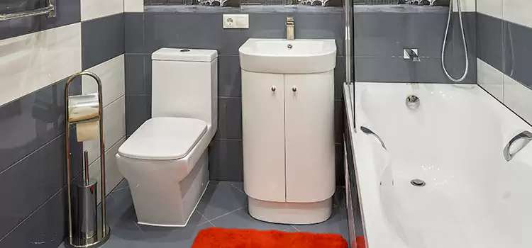 Hansgrohe Shaving Mirror Oxon Hill
